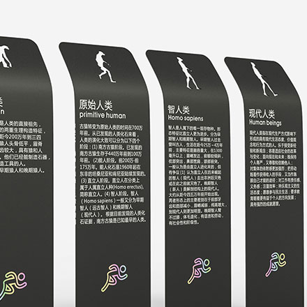 項目實施作品案例展示